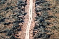 Ya se desmontaron casi 9.000 hectáreas de bosques nativos en Chaco