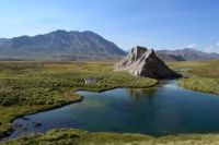 Las actividades productivas sin control están secando humedales mendocinos