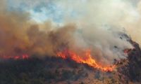 Incendios en Chubut: arde el Parque Nacional Los Alerces